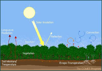 Μοντέλα αριθμητικής πρόγνωσης καιρού Numerical Weather Prediction (NWP) Models Τα μοντέλα πρόγνωσης καιρού προσομοιώνουν το σύνολο των ατμοσφαιρικών και επιφανειακών διεργασιών καθώς και τους