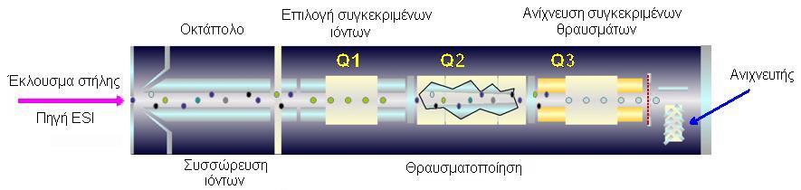 μπορεί να έχει παράγει λόγω διάσπασης. Τα δύο στάδια της φασματομετρίας μαζών συσχετίζονται με συγκεκριμένους τρόπους ώστε να δώσουν την επιθυμητή αναλυτική πληροφορία.