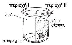 59. ηε δηάηαμε ηεο δηπιαλήο εηθόλαο, ην δηάθξαγκα εκπνδίδεη ηα κόξηα ηεο δάραξεο λα κεηαθηλεζνύλ από ηελ πεξηνρή ΗΗ πξνο ηελ πεξηνρή Η.