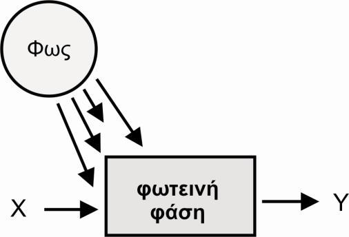 Πνηα από ηηο παξαθάησ πξνηάζεηο απνηειεί έλα έγθπξν ζπκπέξαζκα κε βάζε ηα δεδνκέλα ηνπ πίλαθα; Α. Κάζε θπηό θσηνζπλζέηεη θαιύηεξα ζε δηαθνξεηηθό ρξώκα θσηόο. Β.