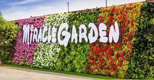 DUBAI MIRACLE GARDENS LEGOLAND BOLLYWOOD PARK ΧΙΟΝΟΔΡΟΜΙΚΟ ΚΕΝΤΡΟ EMIRATES MALL DUBAI OPERA Επισκεφτείτε το μοναδικό και υπέροχο πραγματικά DUBAI MIRACLE GARDENS.