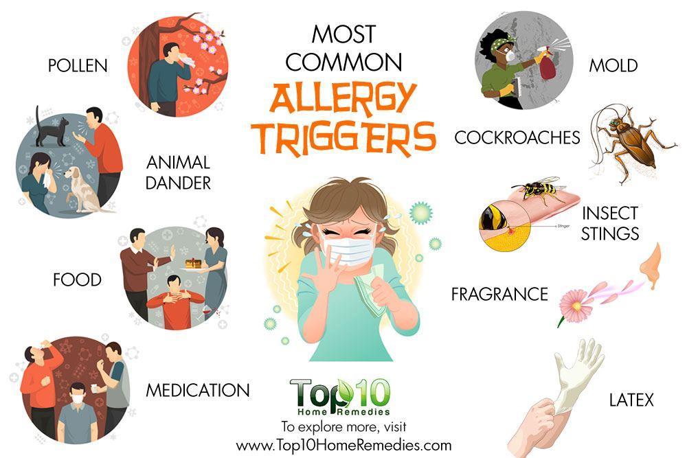 Κοινά αλλεργιογόνα (υπερευαισθησία τύπου Ι) Πρωτεΐνες Ζωικοί οροί Εμβόλια Γύρη φυτών Ήρα σιτηρών Αγριόχορτο Τριφύλλι Σημύδα Φάρμακα Πενικιλλίνη Σουλφοναμίδες Τοπικά αναισθητικά