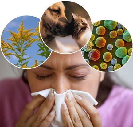 Αλλεργιογόνα: αντιγόνα που προκαλούν αλλεργική αντίδραση και είναι