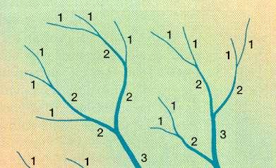 Μέθοδος αρίθμησης κατά Strahler (1957) Κάθε τμήμα ενός ποταμού ταξινομείται ιεραρχικά ανάλογα με τους παραπόταμούς του.