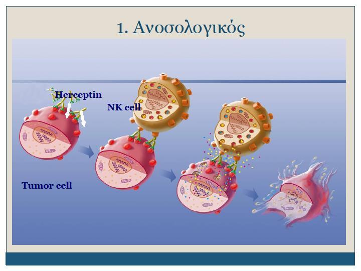 Trastuzumab Ianello &