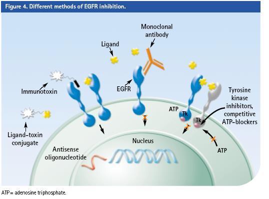 ΤΚΙ-targeting approaches D.