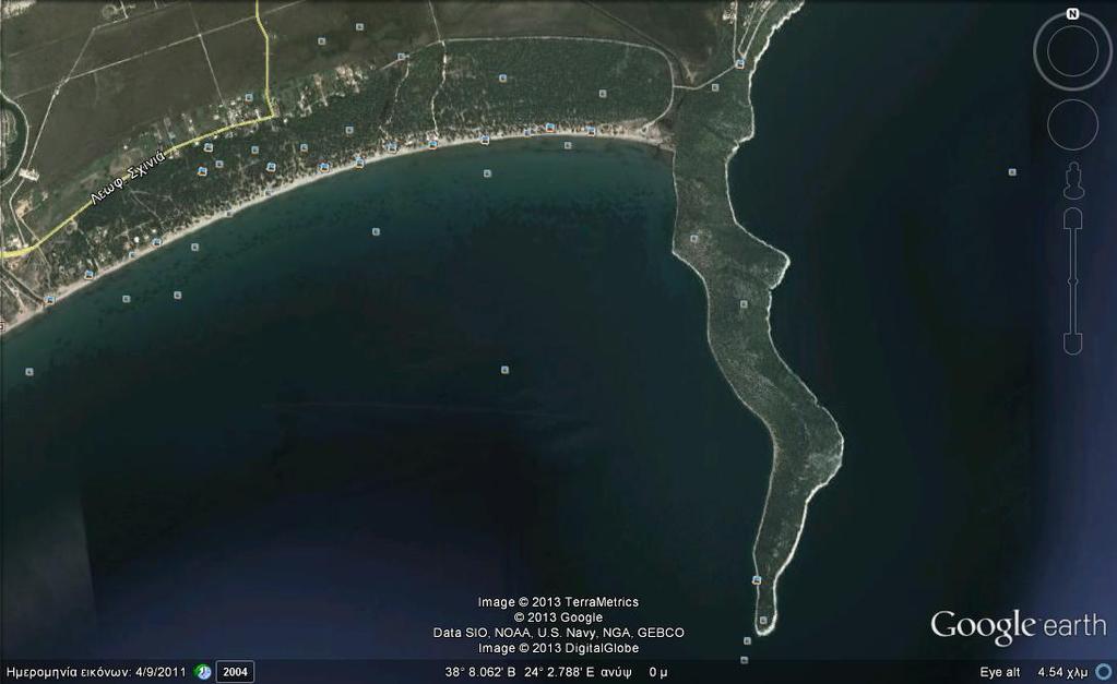 ΤΜΗΜΑ 1: ΠΑΡΑΛΙΑ ΣΧΙΝΙΑ Η παρατήρηση ξεκινάει από το βόρειο άκρο της παραλίας του Σχινιά από την πλευρά
