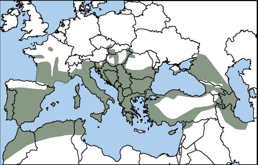 Εικ. 1. Γεωγραφική εξάπλωση του είδους Fraxinus angustifolia στην Ευρώπη (Fraxigen, 2005).