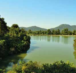 Αργότερα, γνωριμία με τις νεώτερες εγκαταστάσεις της Γαλλικής Εταιρείας Σερπιέρη, σημερινό Τεχνολογικό Πολιτιστικό Πάρκο Λαυρίου. Επιστροφή στην Αθήνα το απόγευμα.
