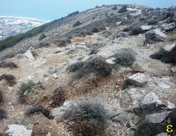 απροσπέλαστο σε κάποια τμήματα. Το μονοπάτι από την εκκλησία της Παναγίας της Σέργενας μέχρι το Βόθωνα είναι τσιμεντένιο, ενώ στην άλλη πλευρά από τσιμεντένιο γίνεται στη συνέχεια χωμάτινο.