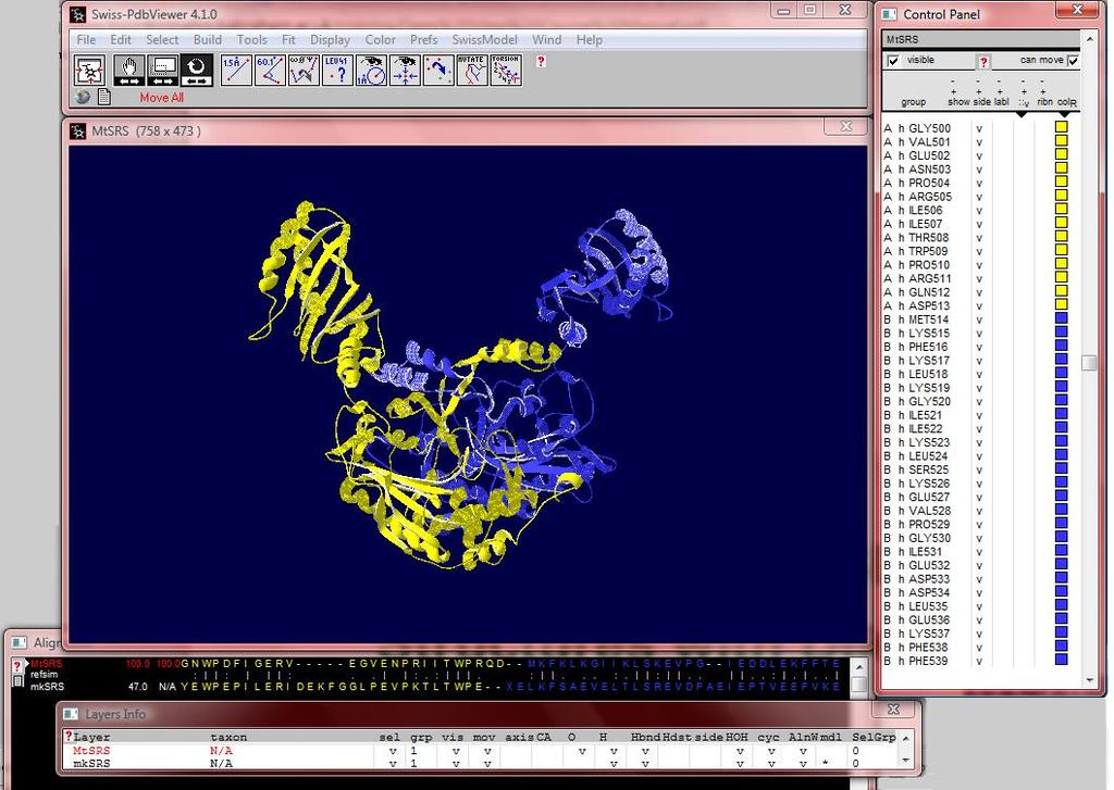 Materijali i metode aminokiselinska sekvenca MtSerRS provizorno se prianja na peptidnu okosnicu MkSerRS. Program SWISS PDB Viewer 127 omogućuje manualno poravnavanje sljedova u zasebnom okviru.
