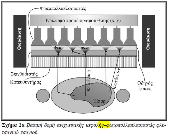 Σχήμα 2β Κεφαλή γ - κάμερα σε ανεστραμμένη θέση. Σχήμα 2α Βασική δομή ανιχνευτικής κεφαλής φωτοπολλαπλασιαστές φλυτσανιού τσαγιού.