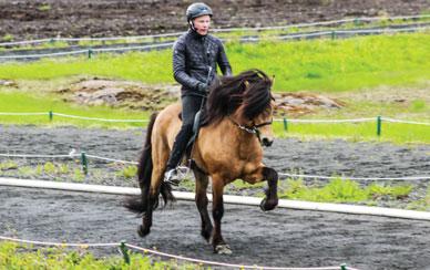 Gylfi og Sigríður Gísladóttir stofnuðu Víur árið 2014 með það að markmiði að stunda rannsóknir og tilraunaræktun á lirfum svörtu hermannaflugunnar.