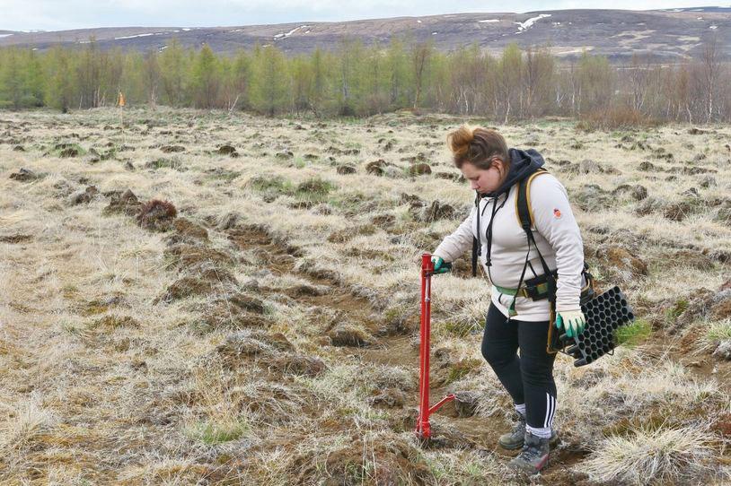 26 Bændablaðið Fimmtudagur 8.