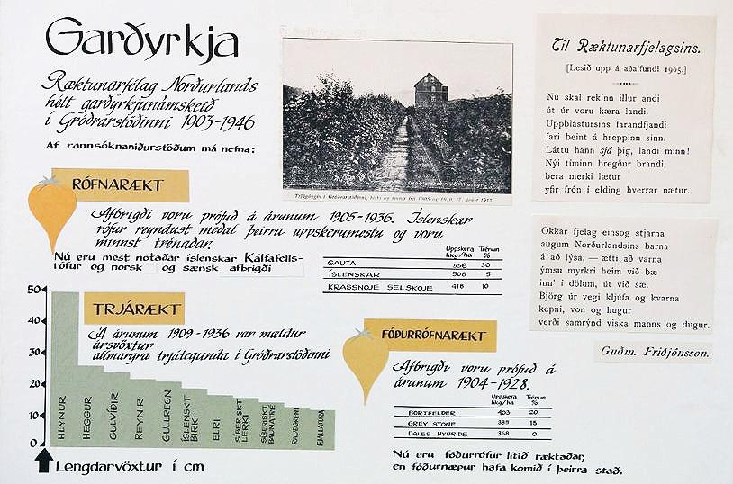 Myndir / Pétur Halldórsson Um allt land virðist mikil blómgun á ýmsum tegundum, til dæmis birki. Horfur eru á því að í haust verði hægt að safna miklu fræi.