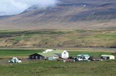 com Cow pow á íslandi. LÓÐ/JÖRÐ ÓSKAST Óska eftir lóð undir ca 2.000 fm snyrtilega geymsluskemmu innan við ca 50 km radíus frá Reykjavík.