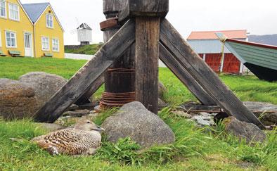 Í lambabeikoni er enginn sykur og minna salt en í venjulegu beikoni, segir Ólafur Már Þórisson, markaðsstjóri hjá Kjarnafæði. Við gerum okkur grein fyrir því að þetta er ekki að fara að slá út beikon.