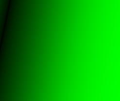 striatum following