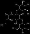 AMINOGLIKOZIDI Amikacin