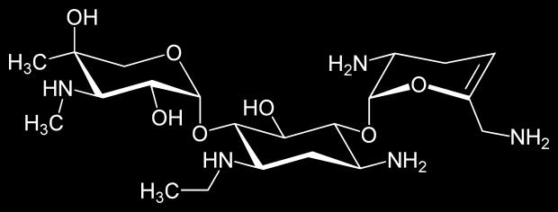 Gentamicin Lek )