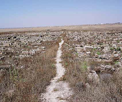 Μετά από 26 χρόνια ανασκαφών από τον Κύπριο αρχαιολόγο Πορφύριο Δίκαιο (1904-1971) και στη συνέχεια από μία γαλλική αρχαιολογική αποστολή, ο χώρος έχει εγκαταλειφθεί εντελώς μετά την τουρκική εισβολή