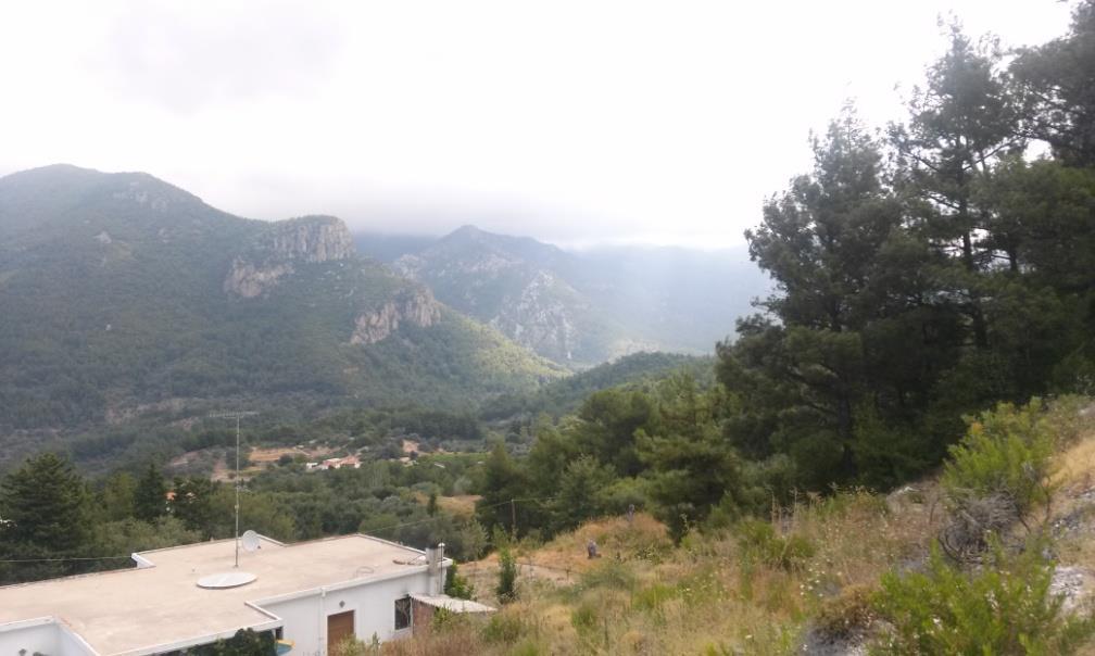 νερό ακόμα και τον