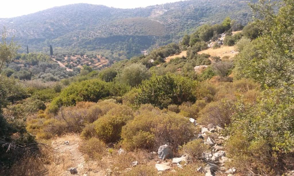 του αποτελείται κυρίως από σχιστόλιθους και ασβεστόλιθους.