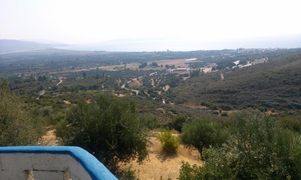 Η διάβρωση είναι μέτρια λόγω της λιθολογίας και της μικρής σχετικά κλίσης(15%).