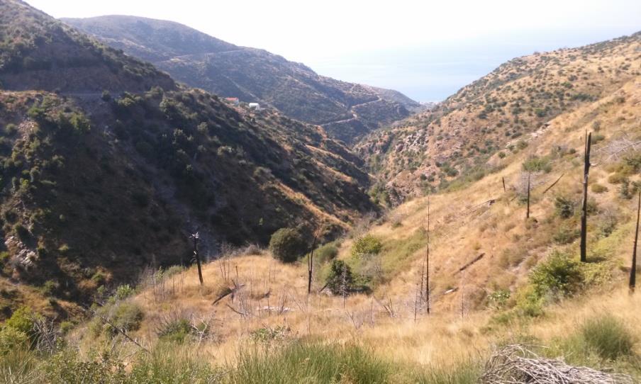Εικόνα 11.5: α) Λεκάνη απορροής και παλιά καμένα δέντρα.