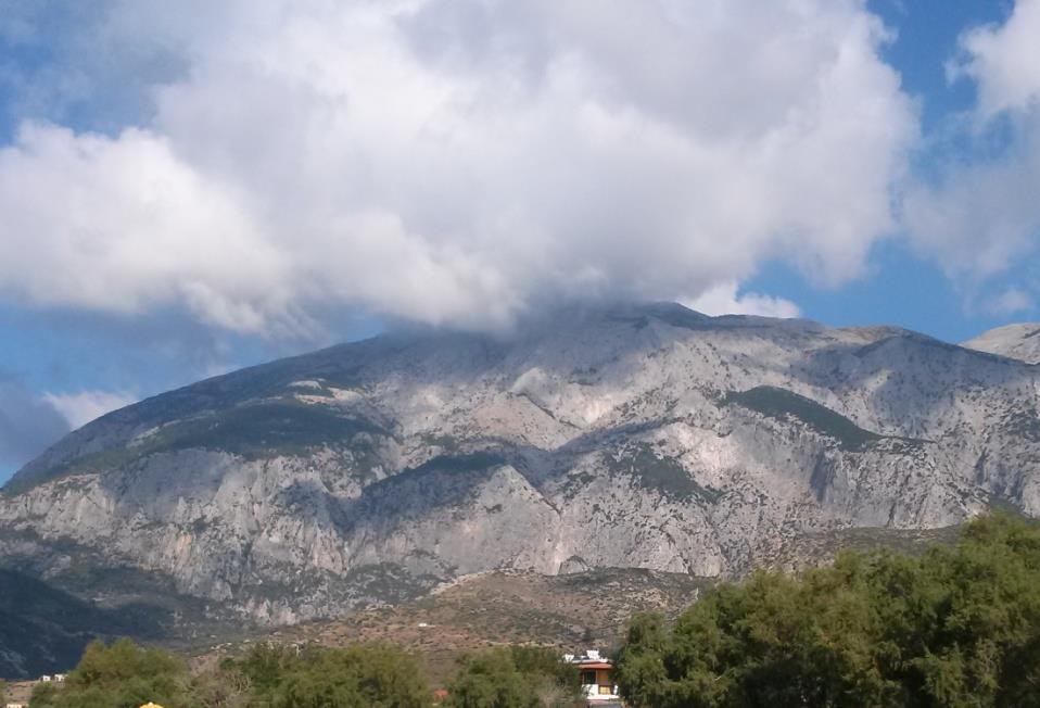 Εικόνα 1.