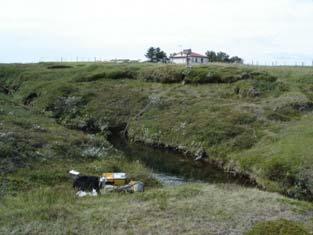 1 Katastaðalind Hnit: N66 16,067 W 16 22,487