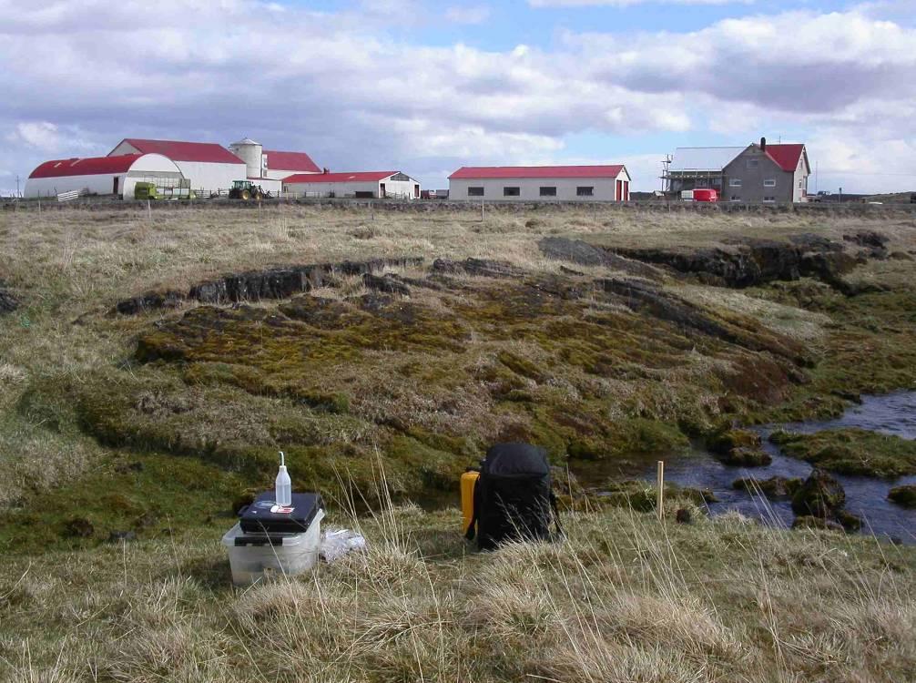10. Lón ullarþvottalind Staður 10