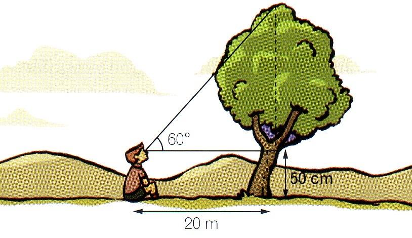 Unha vez obtemos o ángulo, por medio das razóns trigonométricas pódese calcular a altura do edificio. Que razón trigonométrica temos que aplicar cos datos que coñecemos? 19.