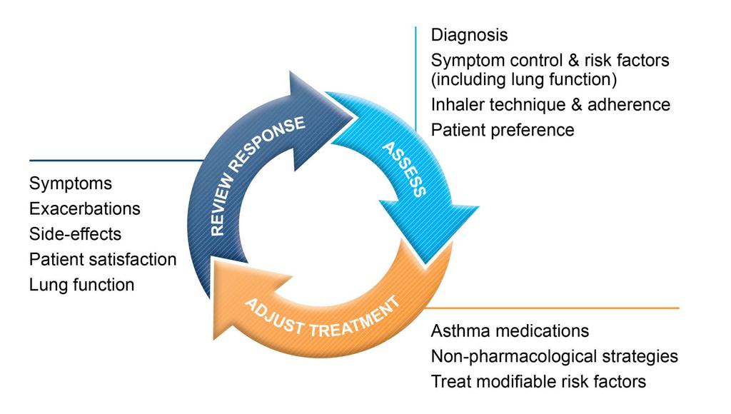Κύκλος αντιμετώπισης του άσθματος Συμπτώματα Παροξύνσεις Παρενέργειες Ικανοποίηση ασθενούς Πνευμονική λειτουργία Διάγνωση Έλεγχος συμπτωμάτων και παραγόντων κινδύνου