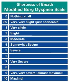 Modified Borg Dyspnea Scale