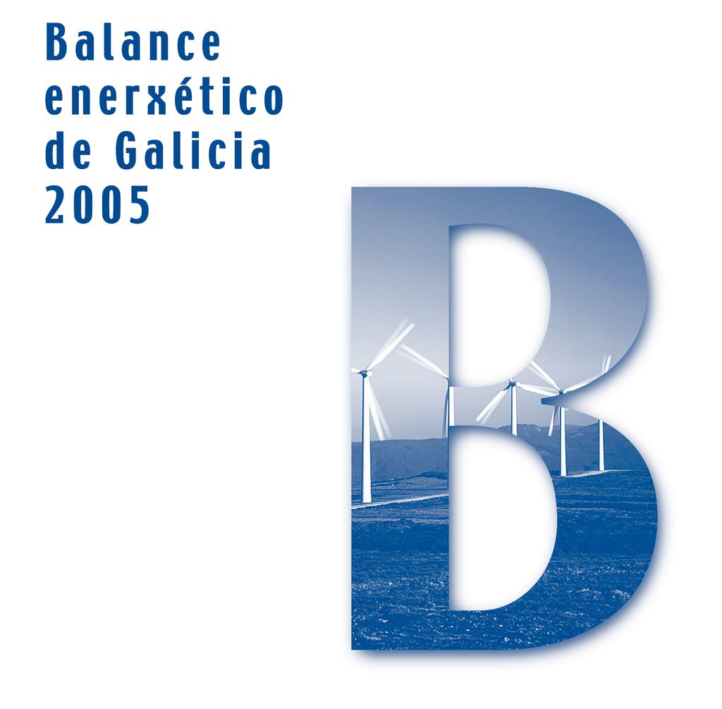 BALANCE ENERXETICO 2005.