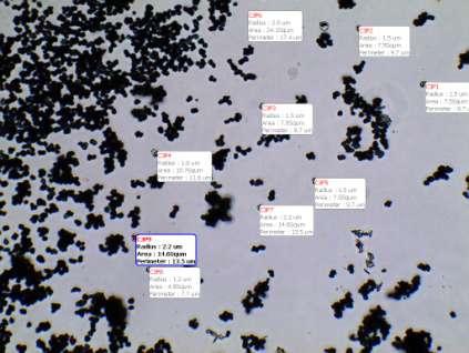 Слика 6 Изглед прашине из штампача при увећању 20 X Резултати одређивања удела појединих фракција честица на основу микроскопске анализе приказани су у табели 1. Табела 1.