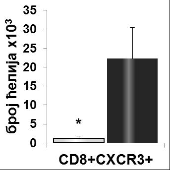У ЦНС-у BALB/c мишева инфицираних вирусом и имунизованих пептидом МOG35-55 присутан је значајан број CD4+и CD8+T