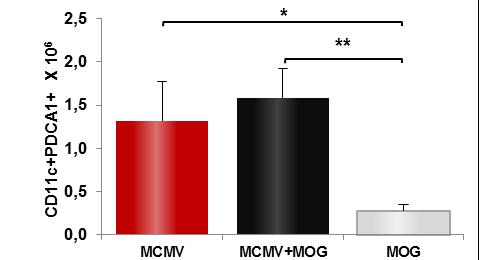 Лимфни чворови BALB/c мишева инфицираних MCMV-ом садрже значајан проценат и број CD11c+ CD11c+PDCA1+ и CD11c+CD11b+ дендритских ћелија.