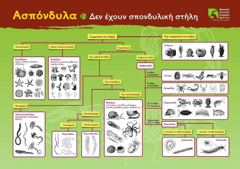 ΕΡΓΑΣΤΗΡΙΑ ΣΤΟ ΜΟΥΣΕΙΟ: Τα