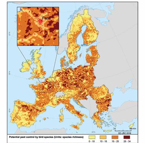 Εικόνα 17. Χαρτογράφηση, σε επίπεδο ΕΕ, του δυνητικού ελέγχου των παρασίτων σε σχέση με τον αριθμό των διαφόρων ειδών πουλιών (EC-JRC 2016). χρι σήμερα, κατά κύριο λόγο στην αναψυχή και στον τουρισμό.