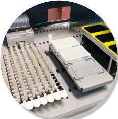 Custom Libraries SYNkinase s partnership with a state of the art robotics