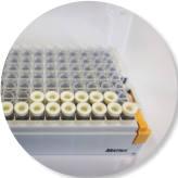 Abl Kinase Inhibitor Library Arrays High quality, research relevant kinase inhibitor library arrays.