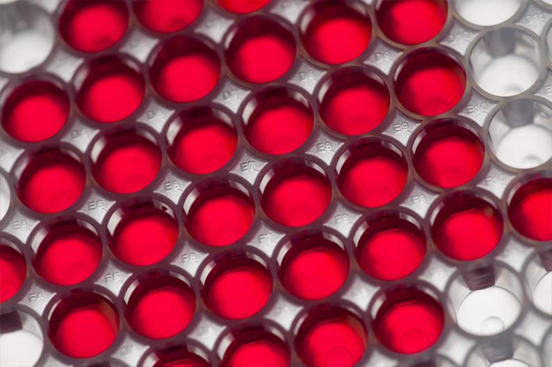 Array (11 Inhibitors) SYNkinase libraries are made in REMP plates with individually foil sealed wells.