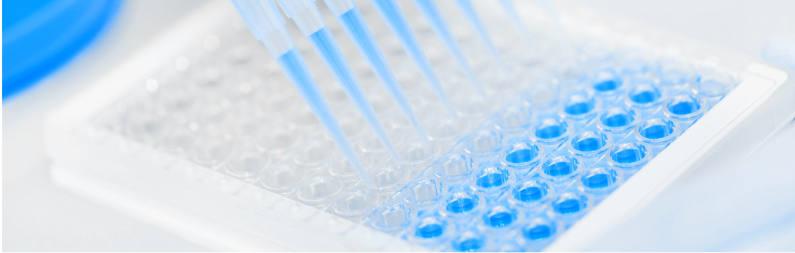 47 Kinase Inhibitor Library Inhibitor name, Catalog and CAS # SYN-1174 PF0477736 1-A3 SYN-1104 TG101348 1-A5 SYN-1200 BKM120 1-A7 SYN-1177 PF-04708671 1-A9 SYN-1138 Cabozantinib 1-A11 SYN-1110