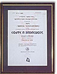 UVOD Firma "NIGOS - elektronik" je osnovana 1990. godine, a osnovna delatnost je proizvodnja mernoregulacione opreme i su{ara.