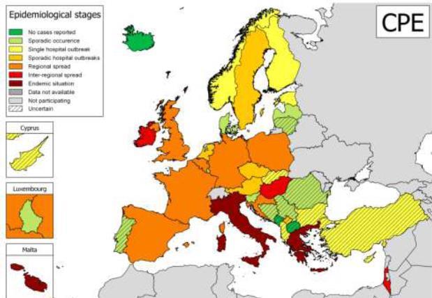 KP: 17% Δράση νέων