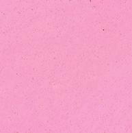 indicativi -
