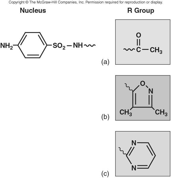 Σουλφοναμίδες Μηχανισμός Δράσης των Σουλφοναμιδών Dihydropteroate synthetase Dihydrofolate reductase P-Aminobenzoic Acid Sulfonamides Dihydrofolate Trimethoprim Tetrahydrofolate Nucleic acid