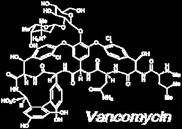 ΑΧΕΠΑ, Θεσσαλονίκη Γλυκοπεπτίδια Παλαιότερα Vancomycin Teicoplanin Νεώτερα